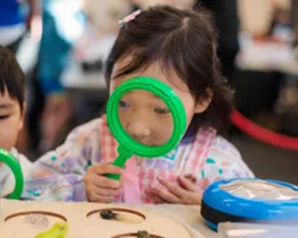 Holiday Science @ the library